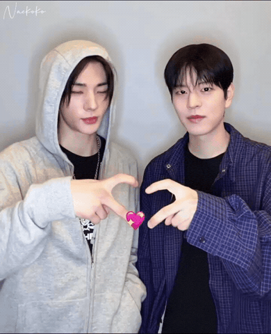 Skz Straykids GIF