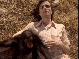 Weezer GIF
