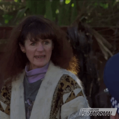 Hissing Cat Lady GIF by Wellington Paranormal