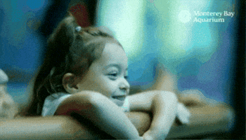 GIF by Monterey Bay Aquarium