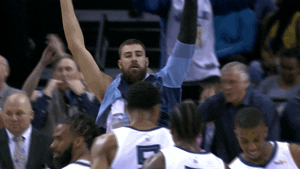 Image result for jonas valanciunas gif