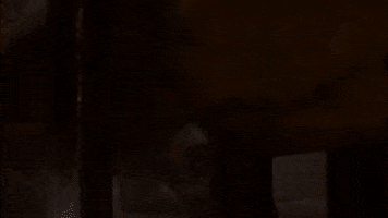 Bg3 GIF