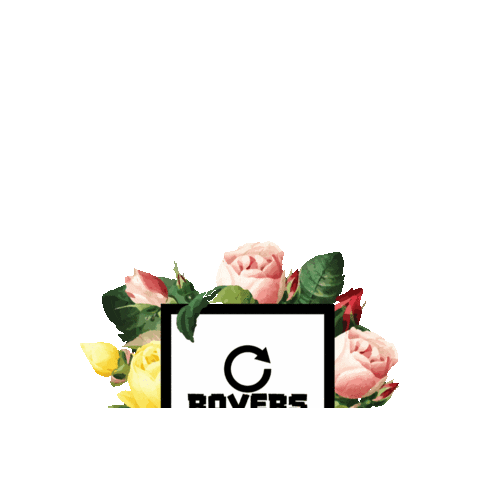 Rovers Coffee Roasters Sticker