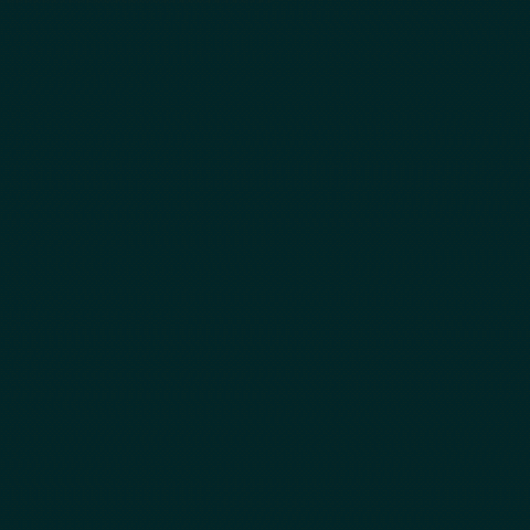 اليوم الوطني السعودي GIF by MBC Group