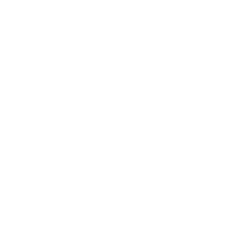 BeMSA Leuven Sticker