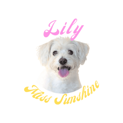 Vegan Pup Sticker by Viramino