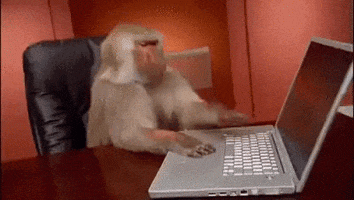 Office Monkey GIF