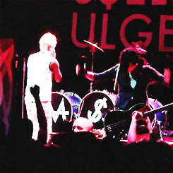 animal of indulgence