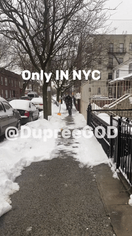 Snow Day GIF by dupreegod
