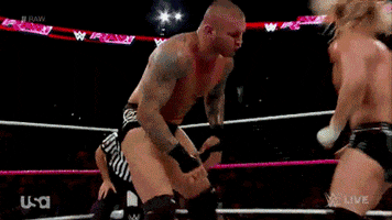 ouch randy orton GIF