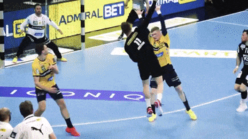 Germany Goal GIF by EHF