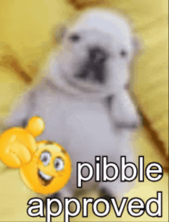 Pibble GIF