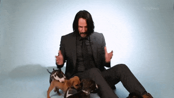 Stop Fighting Keanu Reeves GIF by BuzzFeed
