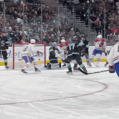 Hockey Nhl GIF by Shelly Saves the Day