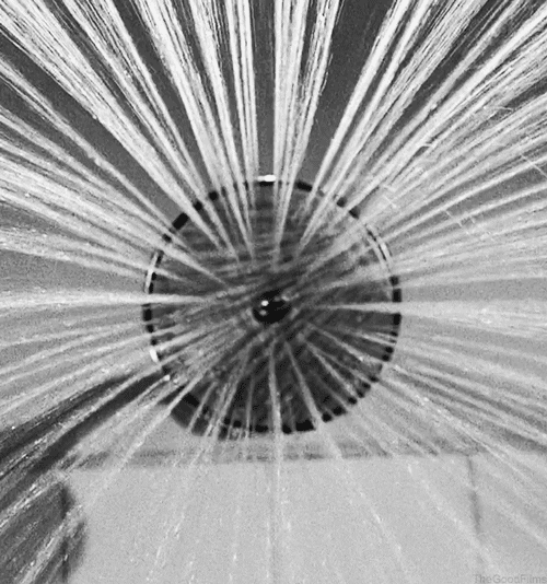 black and white shower GIF by The Good Films