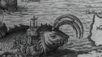 Longislandwhale GIF
