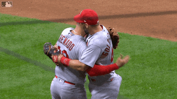 Major League Baseball Hug GIF by MLB