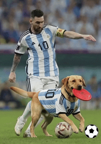 Lola GIF