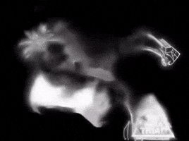 Jjk Jujutsu Kaisen GIF