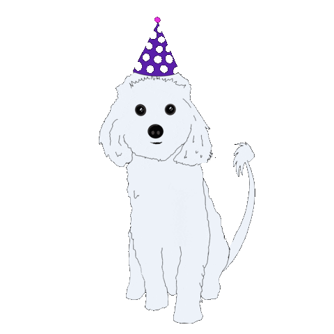 Happy Birthday Fun Sticker by Aylin Ohri