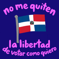 Voting Dominican Republic GIF by Creative Courage