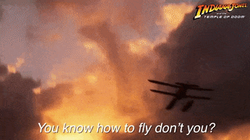 Harrison Ford Plane GIF by Indiana Jones