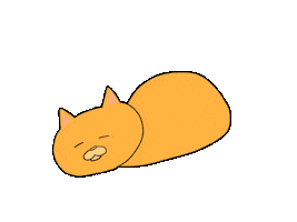 Cat Sleep Sticker