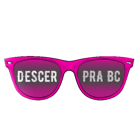 Santa Catarina Balneario Sticker by Brenno e Matheus