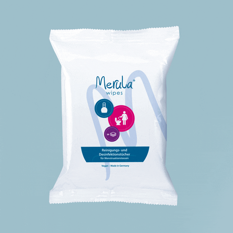 Period Menstruation GIF by Merula