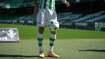 Real Betis Futbol GIF by Real Betis Balompié