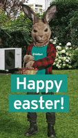 Easter Bunny GIF by Vaillant
