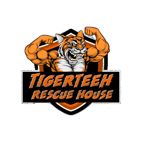Sticker by Tigerteeh