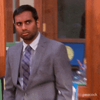 Season 5 Episode 20 GIF by Parks and Recreation