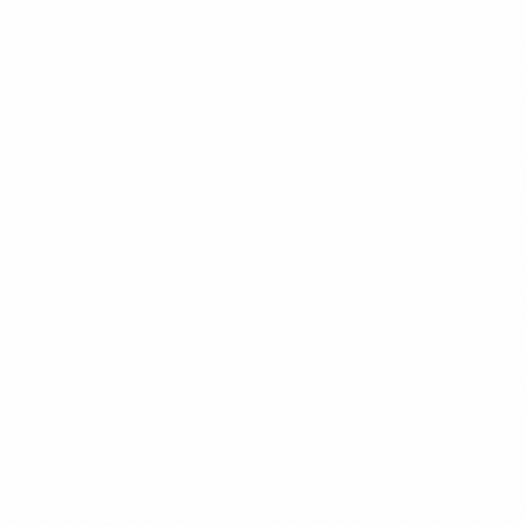 Mpvisionforward GIF by Mount Pisgah Church