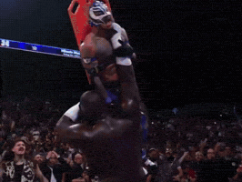 Rey Mysterio GIF