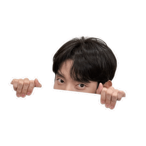 Lee Joon Gi Christmas Sticker