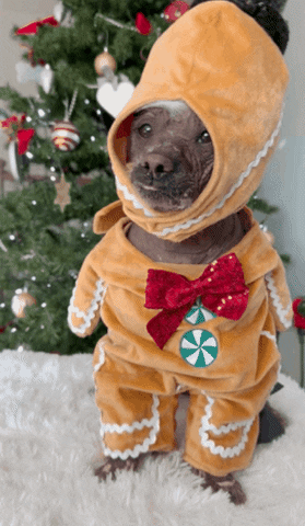 StripeH dog christmas xmas gingerbread GIF