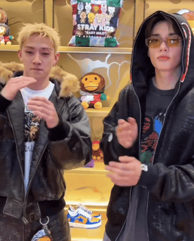 Stray Kids Skz GIF