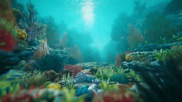atoll GIF by Beyond Blue