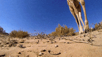 200w.gif?cid=790b76115d0fe1075851694959553ab9&rid=200w.gif