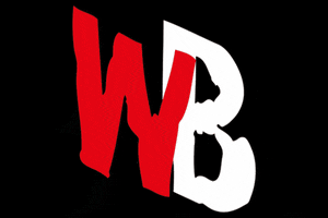 Wb GIF by Untouchables Paderborner Baseball Club e.V.