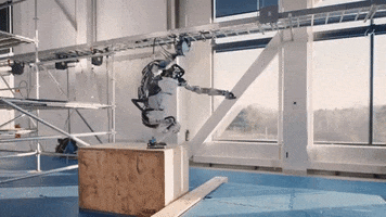 Boston Dynamics Robot GIF by Storyful
