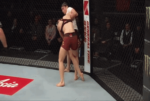 Bjj Armbar GIF