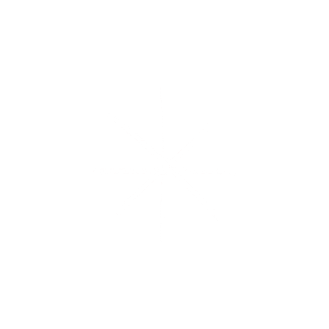 Estrella Adorno Sticker