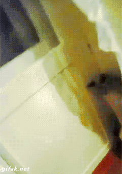 Curtain GIF