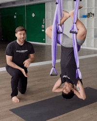 Yoga Trapeze GIF by YOGABODY - Find & Share on GIPHY