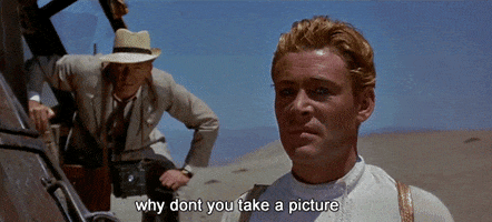 lawrence of arabia my favorite comeback GIF by Maudit