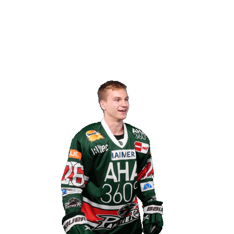 Hockey Del Sticker by Augsburger Panther Eishockey GmbH