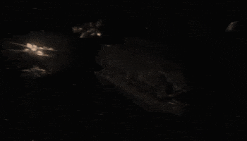 Battle GIF