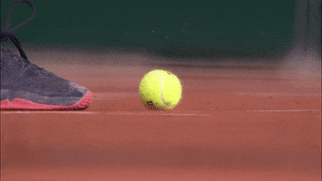 French Open Ball GIF by Roland-Garros